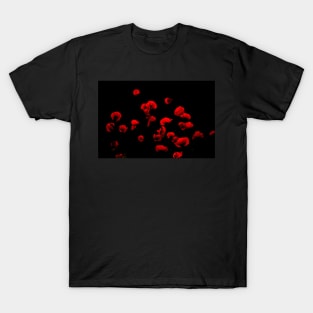 Poppies on the dark side T-Shirt